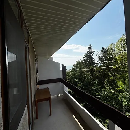 ホテル Casa Scriitorilor オリンプ
